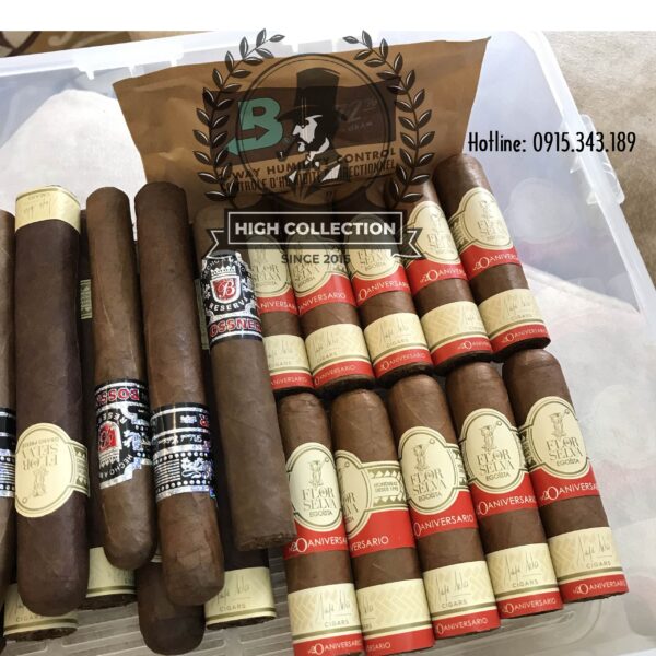 Cigar Non Cuba Flor de Selva No 20