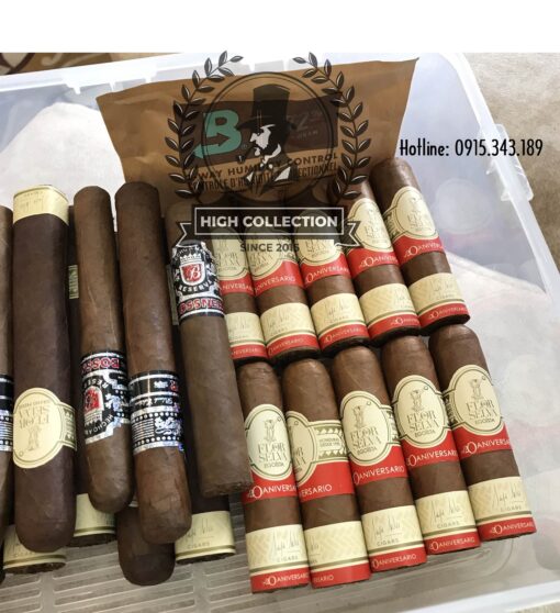 Cigar Non Cuba Flor de Selva No 20