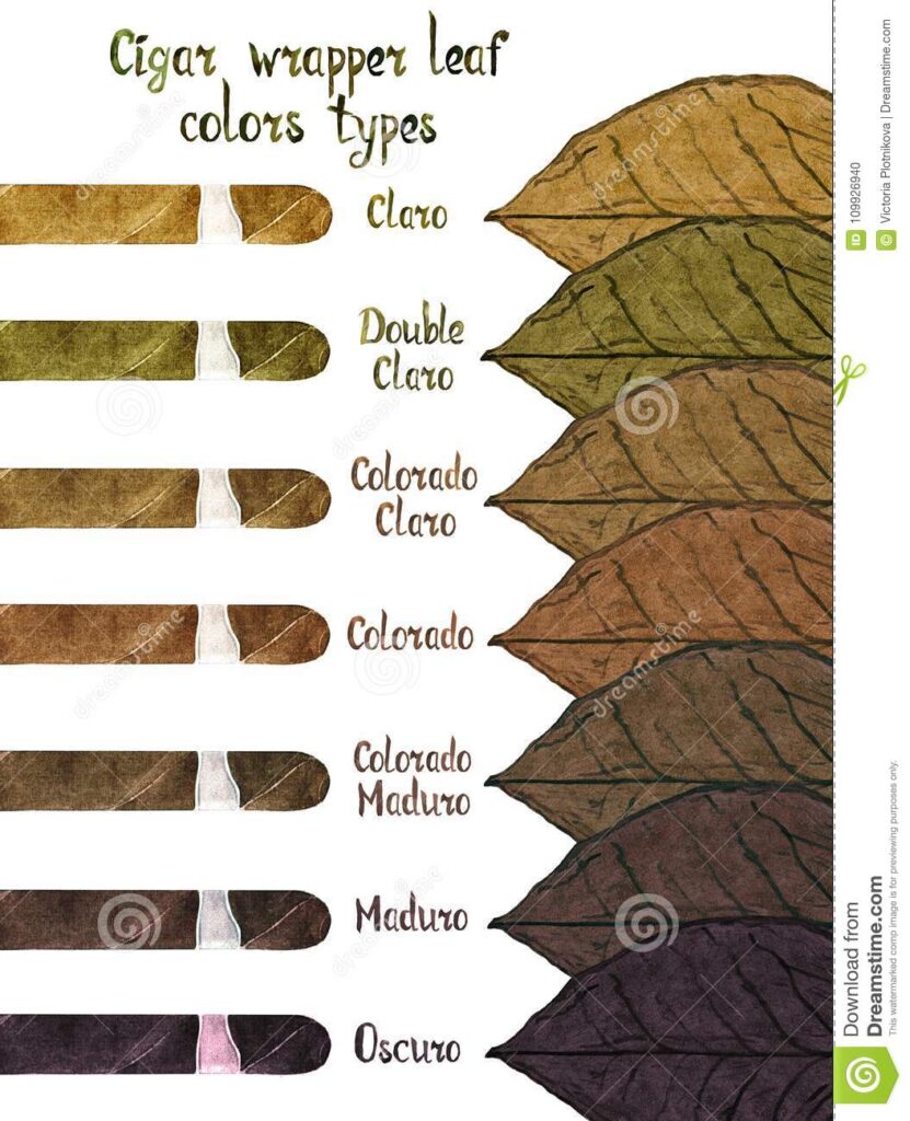 chọn mua xì gà theo màu lá