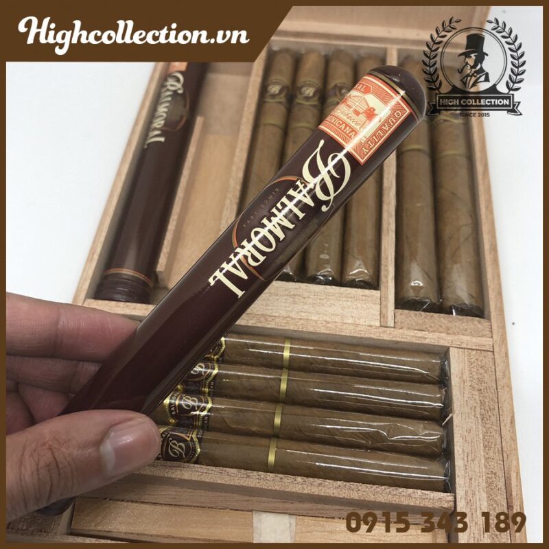 Cigar Balmoral Collection 12