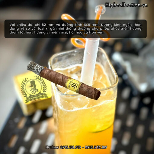 Cigar Trinidad Short Nội Địa Đức