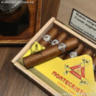 Cigar Montecristo 10 Petit Edmundo