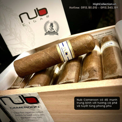 Cigar Nub Cameroon