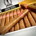 Cigar Partagas 25 Short TBN