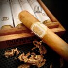 Cigar Undercrown Shade Toro Tubos