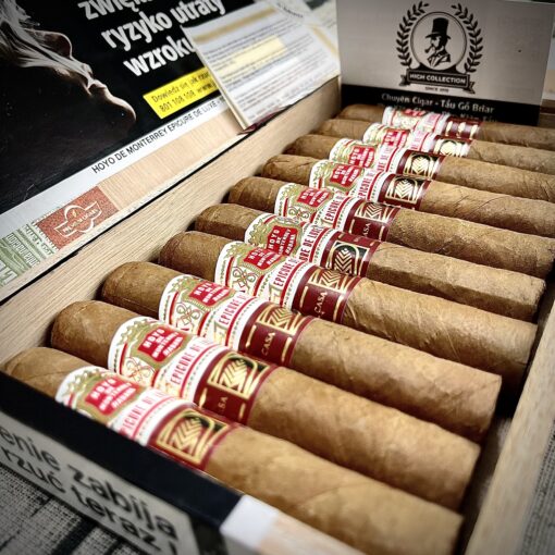 Cigar Hoyo De Monterrey 10 Epicure De Luxe