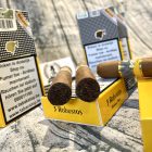 Cigar Cohiba 15 Robusto Bỉ