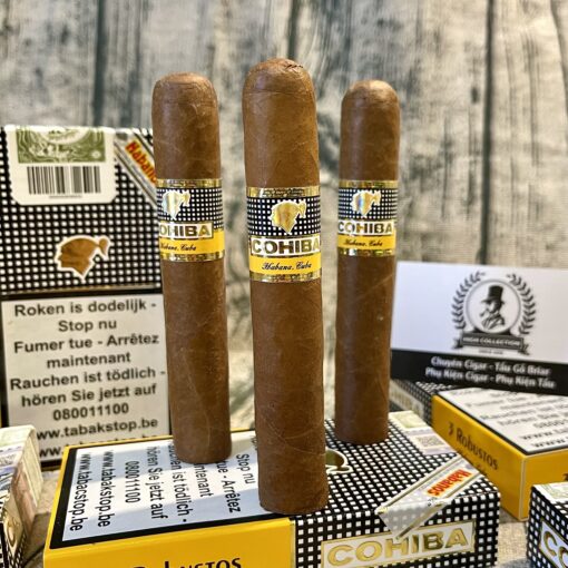 Cigar Cohiba 15 Robusto Bỉ