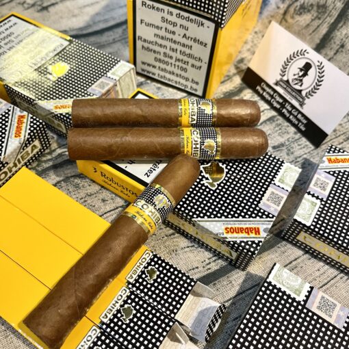Cigar Cohiba 15 Robusto Bỉ