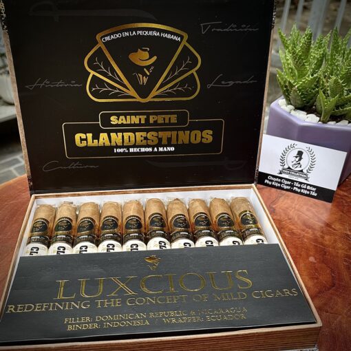 Cigar Clandestinos Saint Pete 10 Toros
