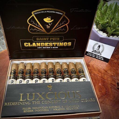Cigar Clandestinos Saint Pete 10 Toros