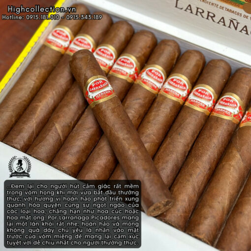Cigar Por Larranaga 25 Picadores