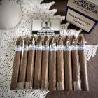 Cigar Casa De Nicaragua 10 Torpedos
