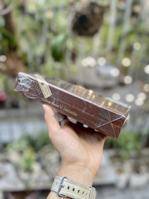 Cigar Oliva Serie V Melanio 6 Premium Cigars Sample