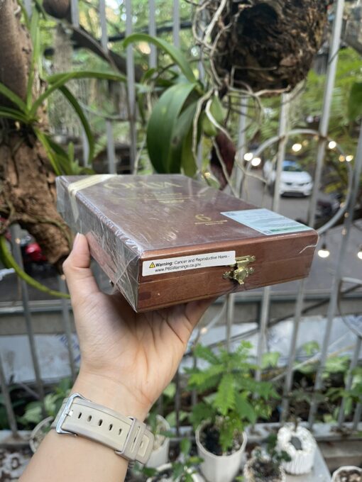 Cigar Oliva Serie V Melanio 6 Premium Cigars Sample