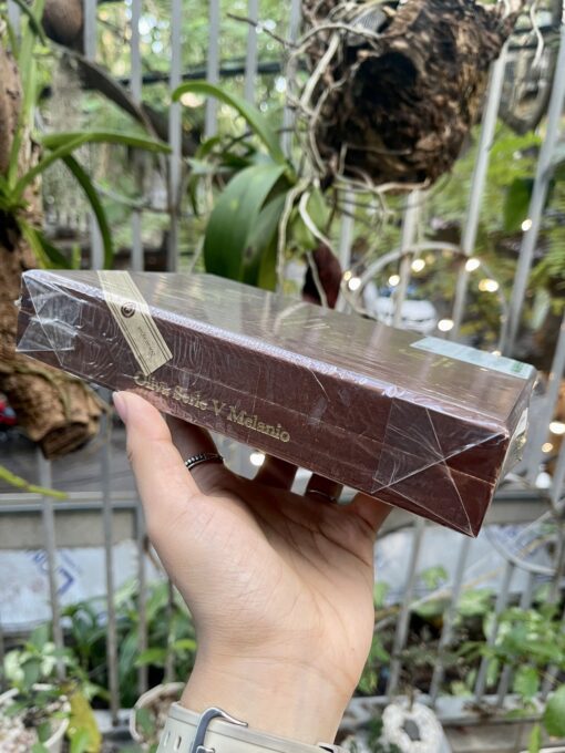 Cigar Oliva Serie V Melanio 6 Premium Cigars Sample