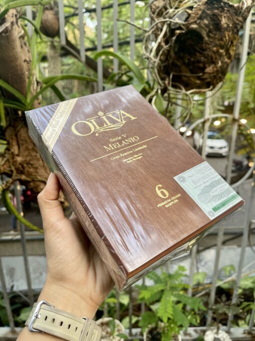 Cigar Oliva Serie V Melanio 6 Premium Cigars Sample