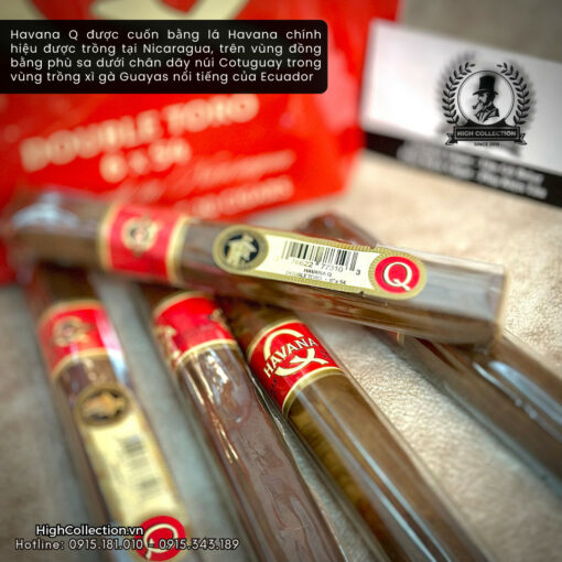 Cigar Quorum Double Toro