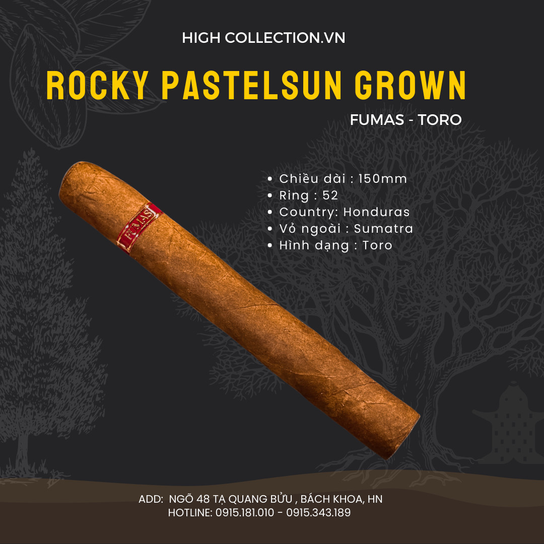 Cigar Rocky Patel Sun Grown Fumas Toro