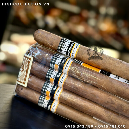 Cigar cuban rounds connecticut churchill