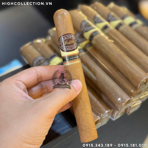 Cigar Padilla Connecticut Picadores