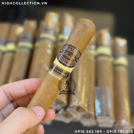 Cigar Padilla Connecticut Picadores